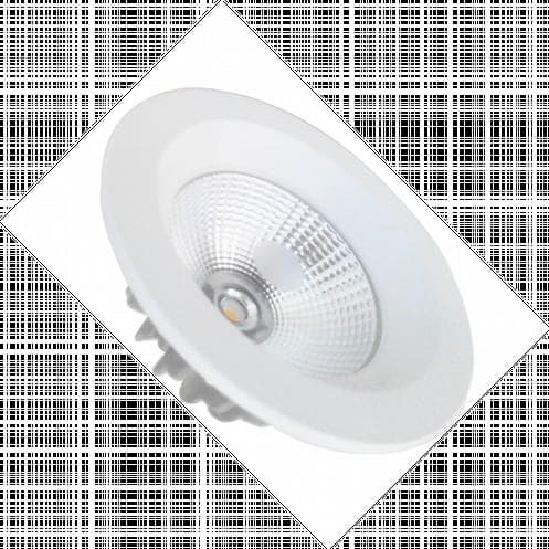 COB Down Light